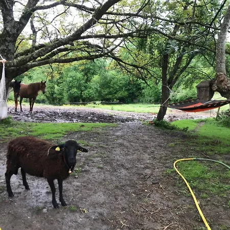 Accommodatie bij particulieren Un Petit Coin De Bonheur Au Ranch Betchat
