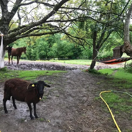 Privatunterkunft Un Petit Coin De Bonheur Au Ranch Betchat