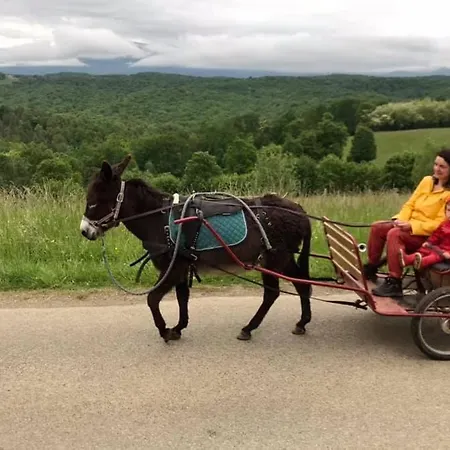 Un Petit Coin De Bonheur Au Ranch