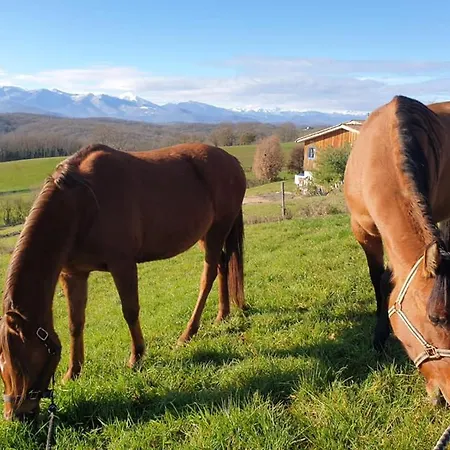 Un Petit Coin De Bonheur Au Ranch Accommodatie bij particulieren