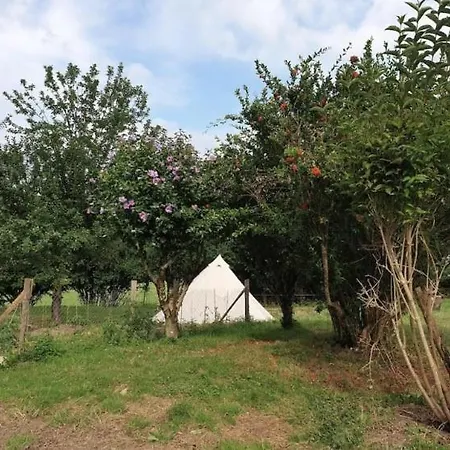 Accommodatie bij particulieren Un Petit Coin De Bonheur Au Ranch